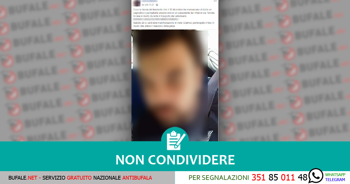 bufala sindaco di lonigo