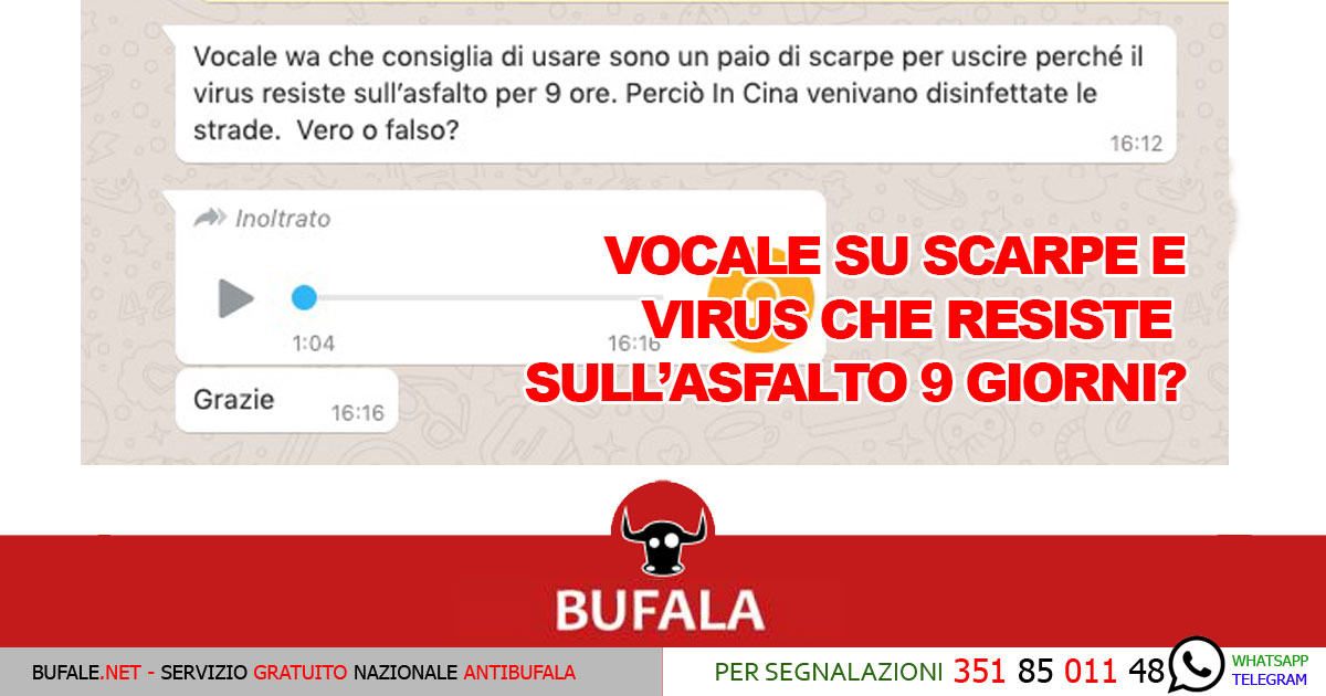 bufala sindaco di lonigo