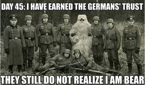 "Giorno 45: ho conquistato la fiducia dell'esercito tedesco. Non si sono ancora accorti che sono un orso"