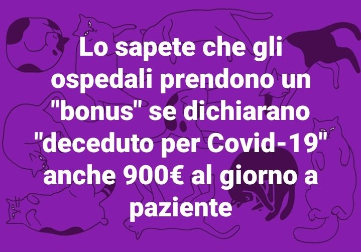 Lo sapete che gli ospedali prendono un bonus se dichiarano deceduto per COVID19 anche €900 al paziente? - La bufala corre su Facebook