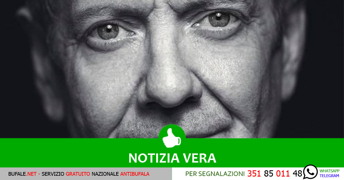 bufala sindaco di lonigo