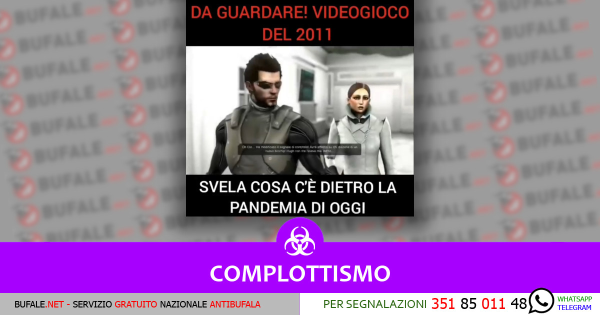 bufala sindaco di lonigo