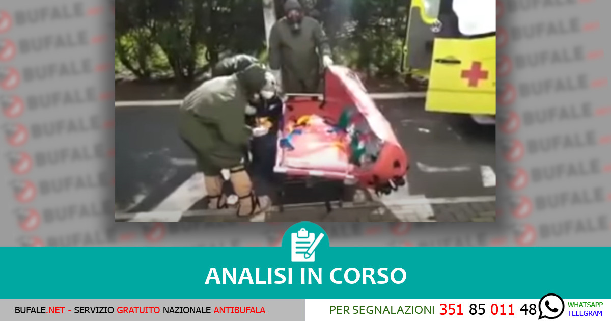 bufala sindaco di lonigo