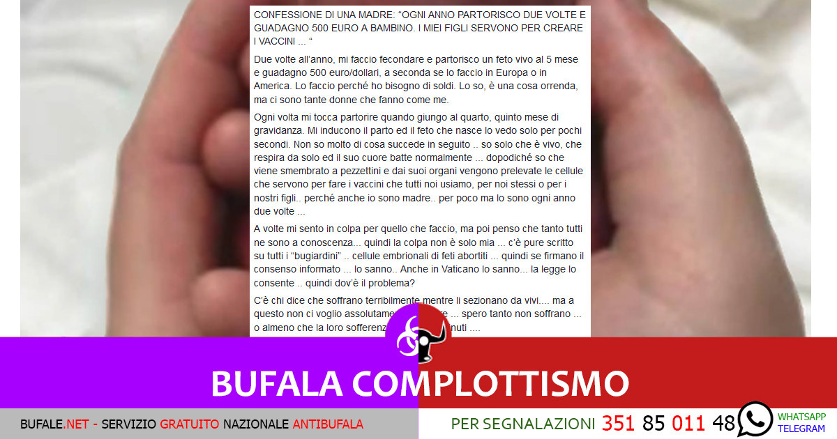 bufala sindaco di lonigo