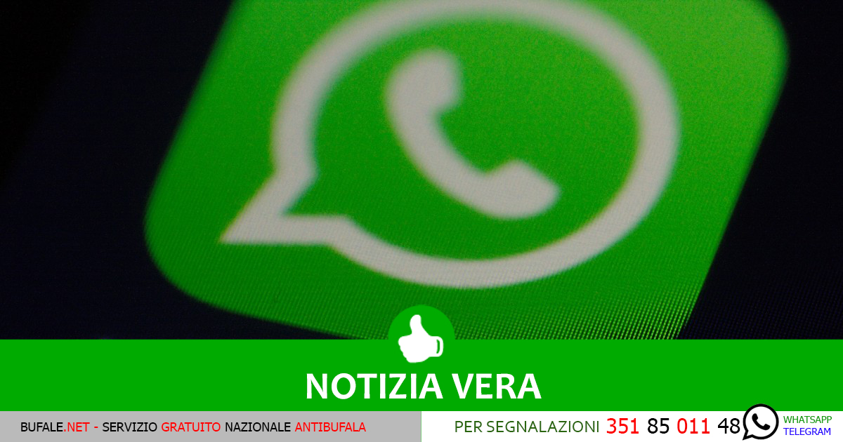 bufala sindaco di lonigo