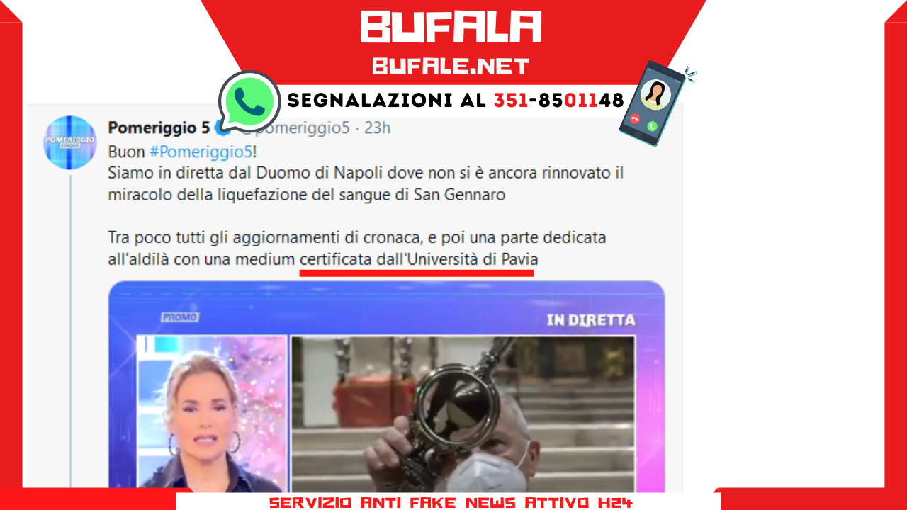 bufala sindaco di lonigo