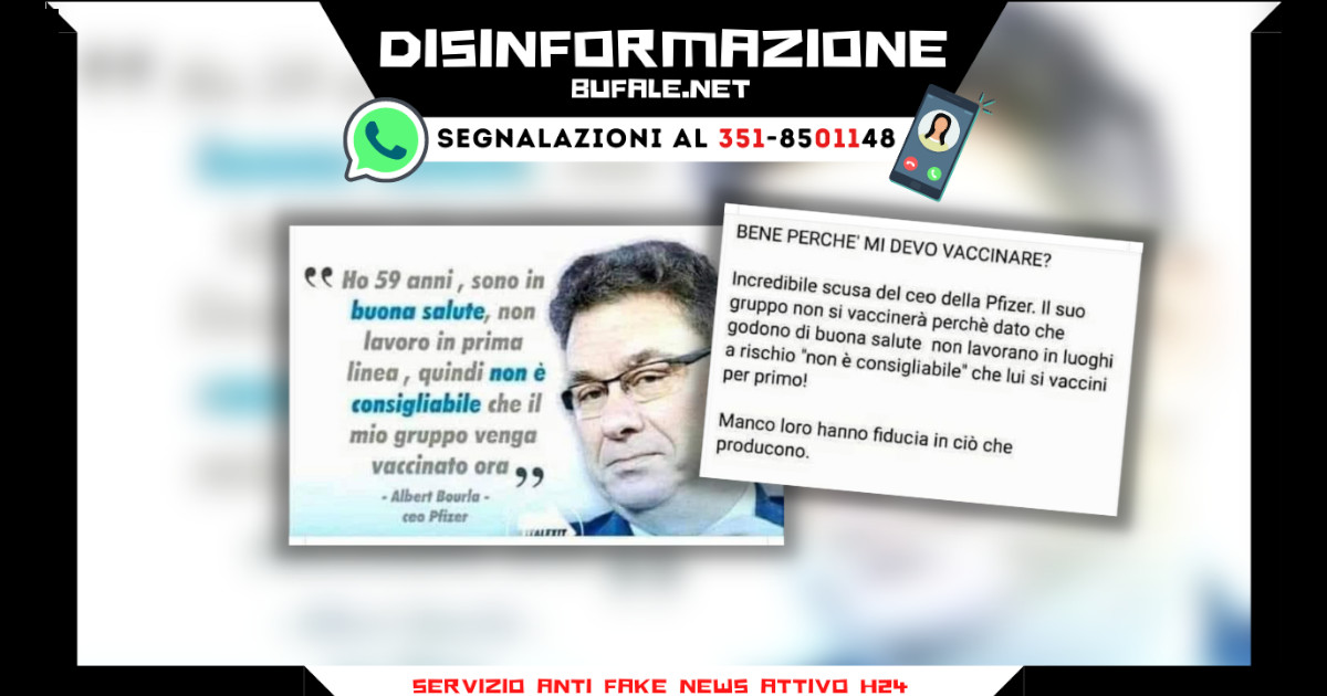 bufala sindaco di lonigo