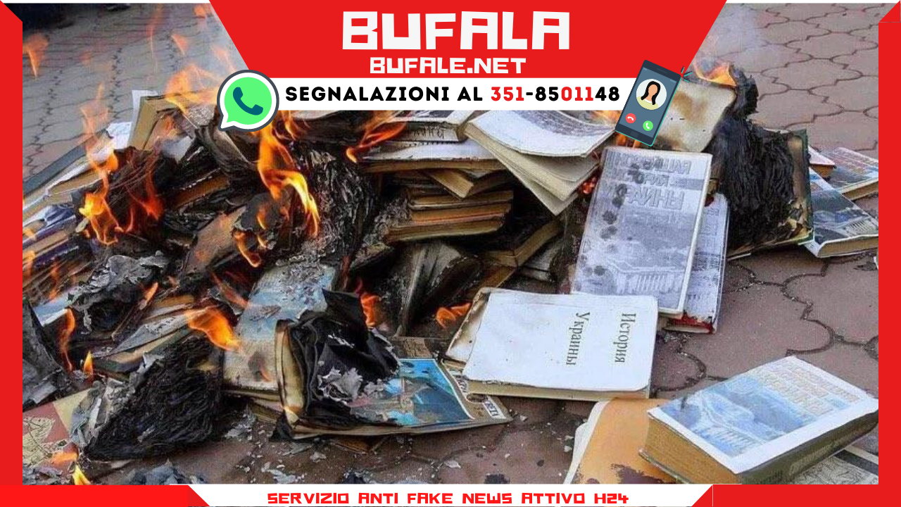 bufala sindaco di lonigo