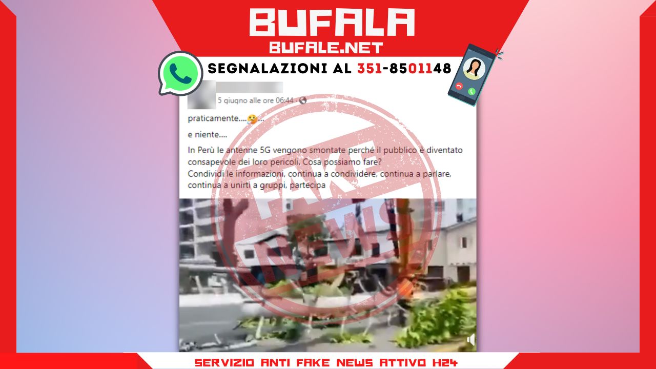 bufala sindaco di lonigo