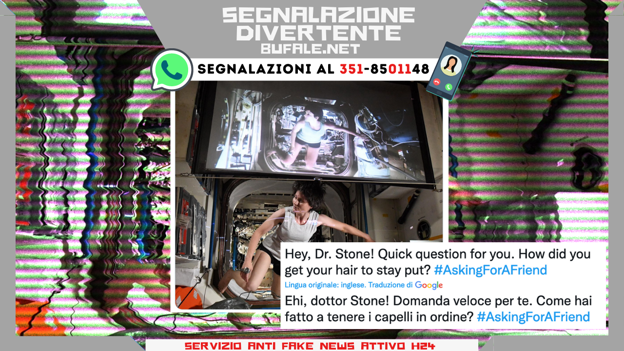 bufala sindaco di lonigo