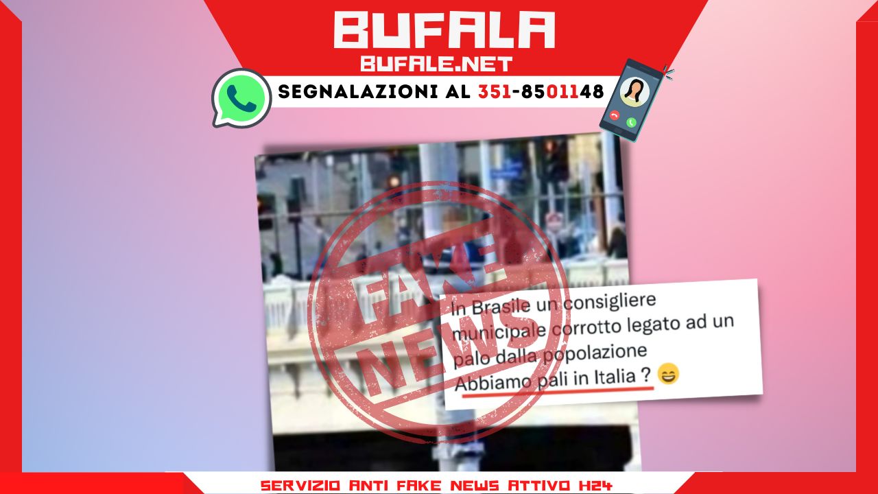 bufala sindaco di lonigo