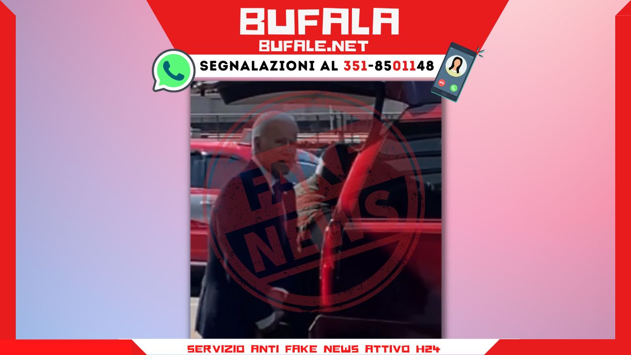 bufala sindaco di lonigo