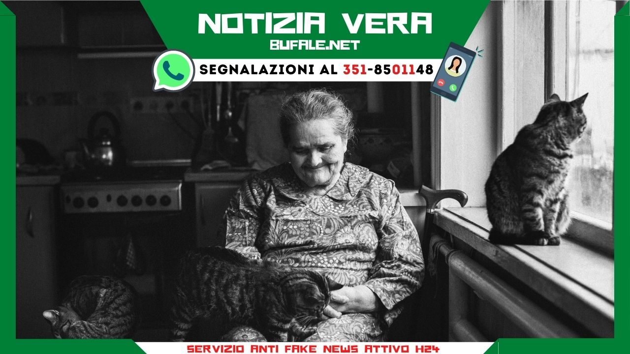 bufala sindaco di lonigo