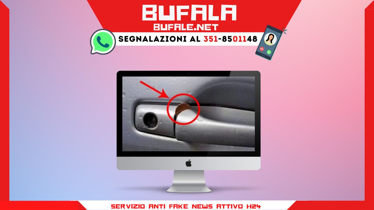 bufala sindaco di lonigo