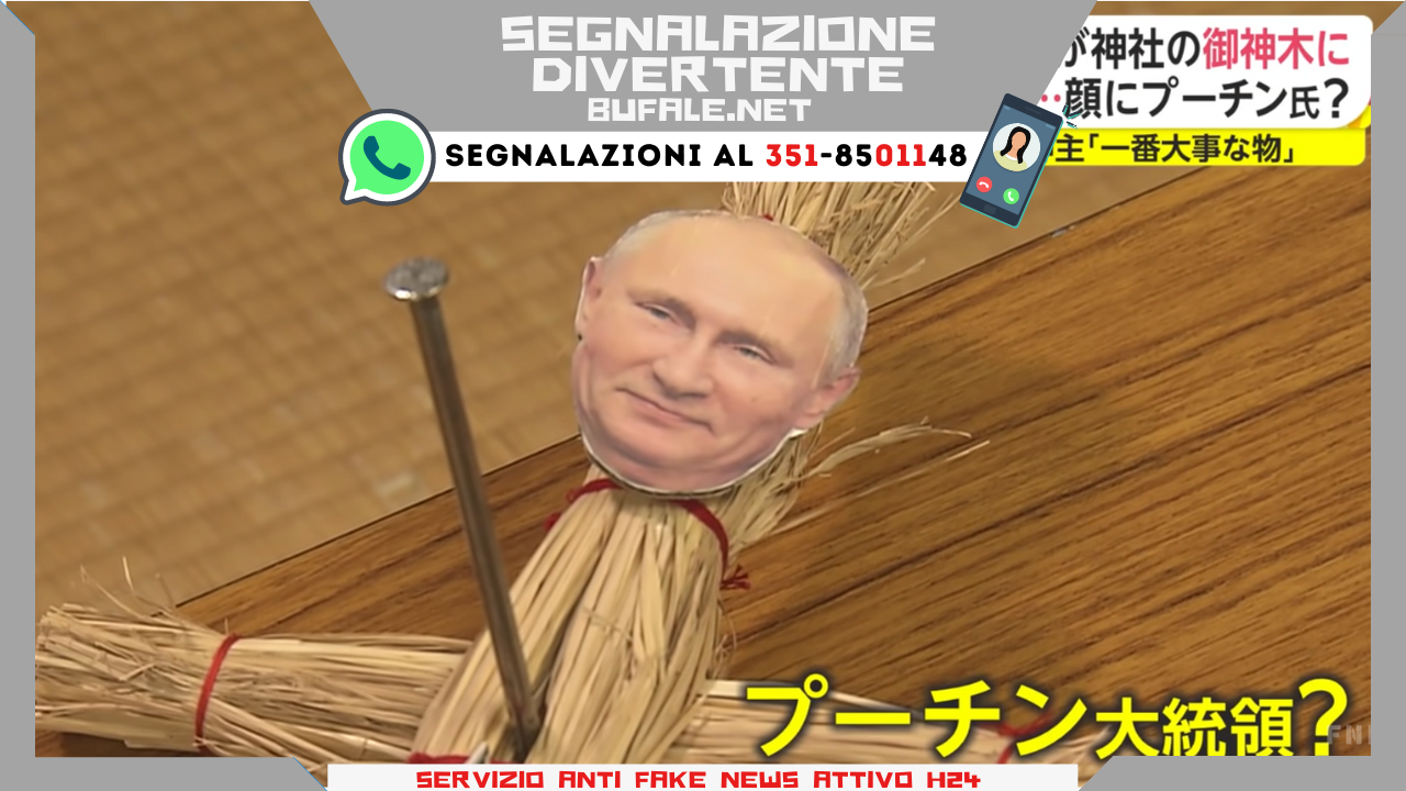 bufala sindaco di lonigo