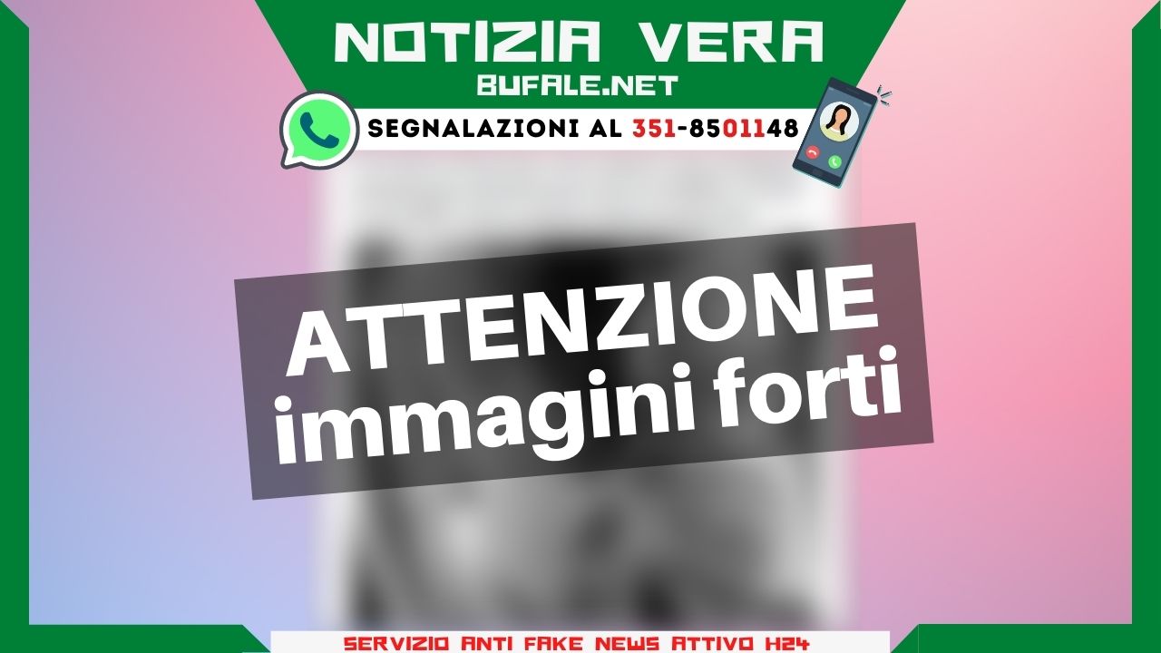 bufala sindaco di lonigo