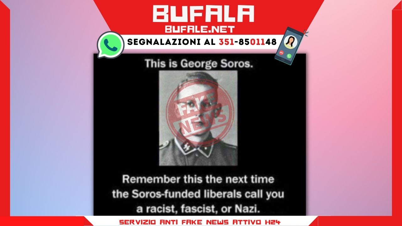 bufala sindaco di lonigo