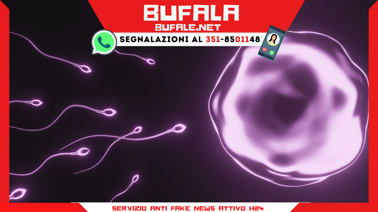 bufala sindaco di lonigo