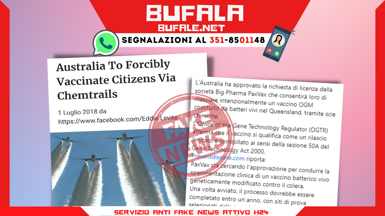 bufala sindaco di lonigo