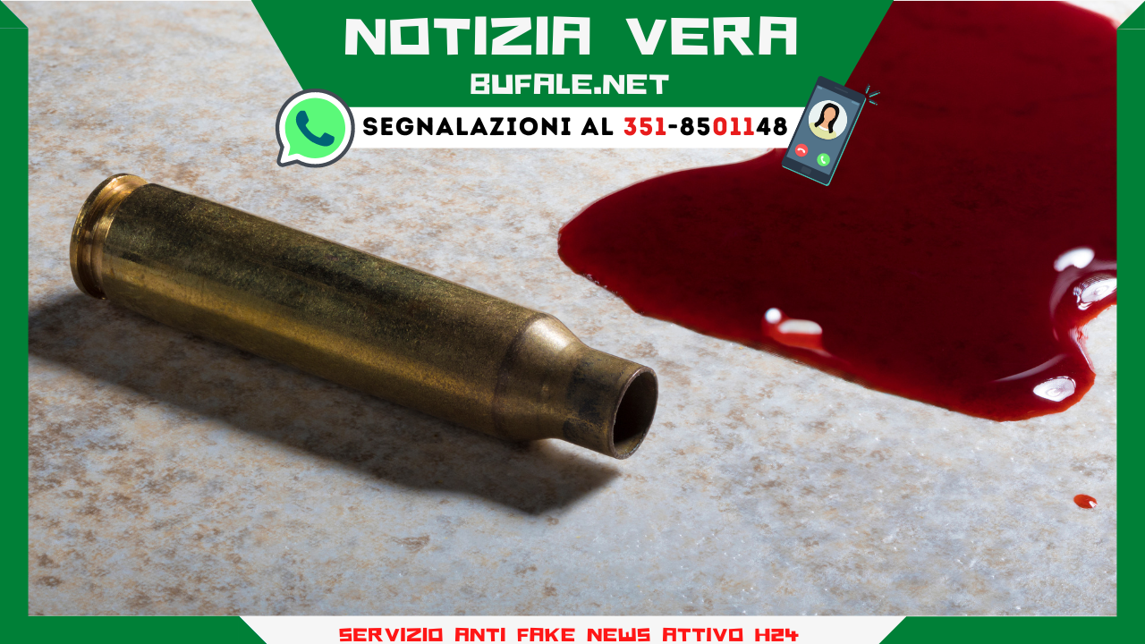 bufala sindaco di lonigo