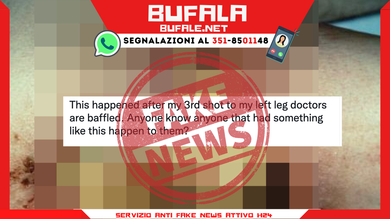 bufala sindaco di lonigo