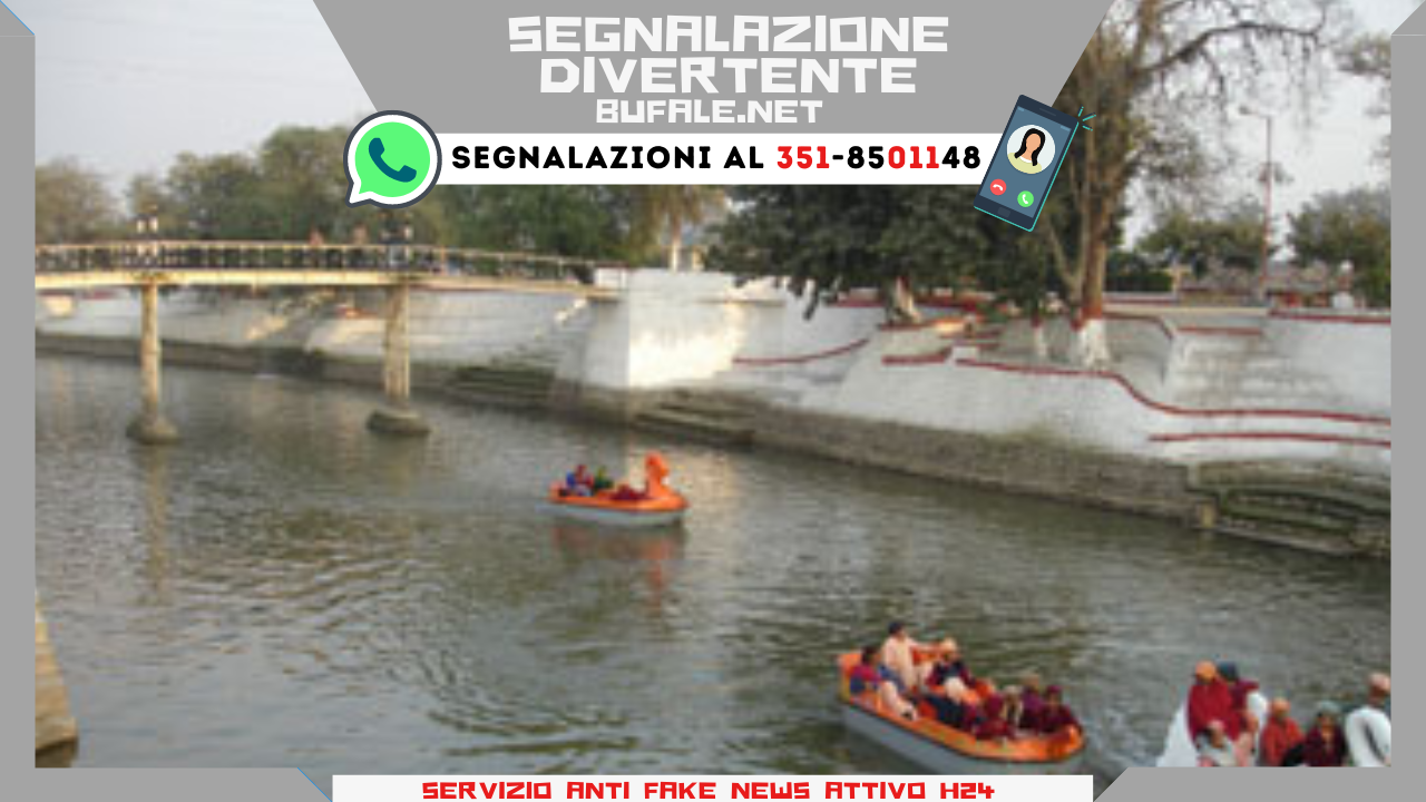 bufala sindaco di lonigo