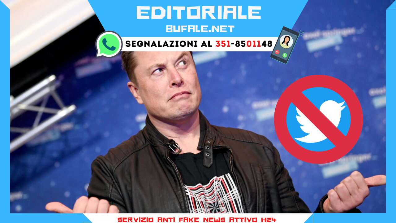 bufala sindaco di lonigo