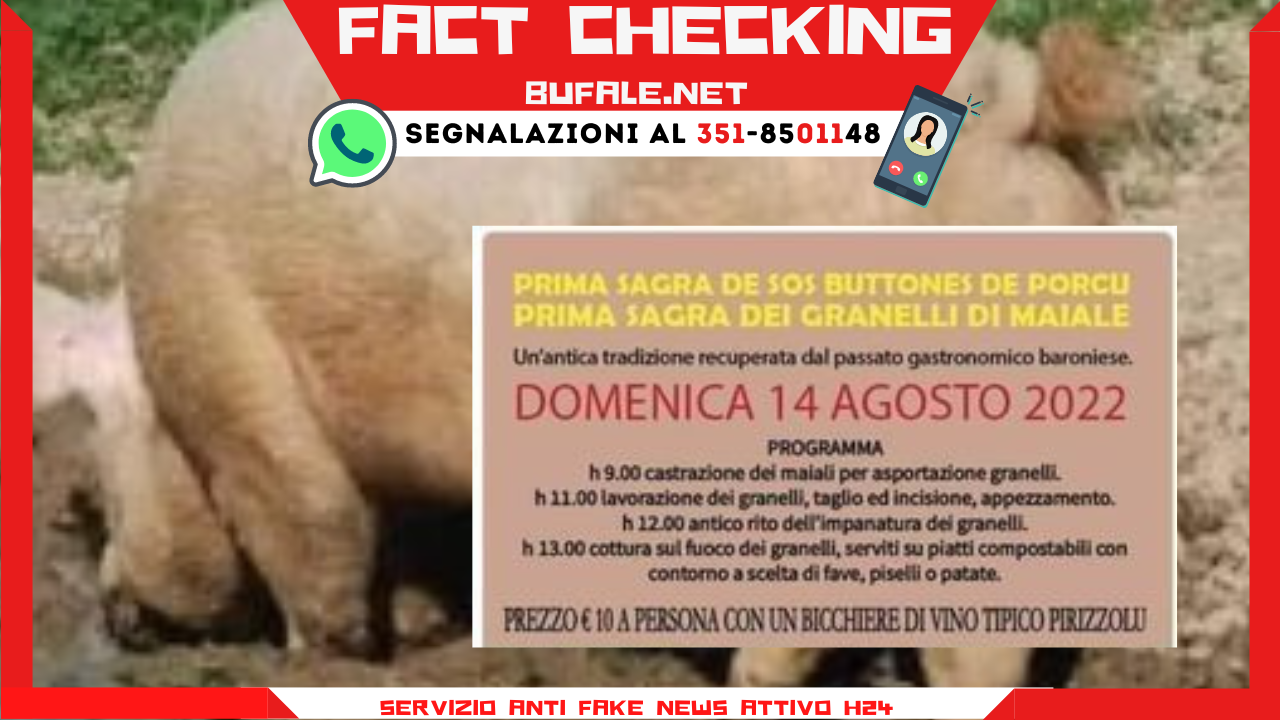 bufala sindaco di lonigo