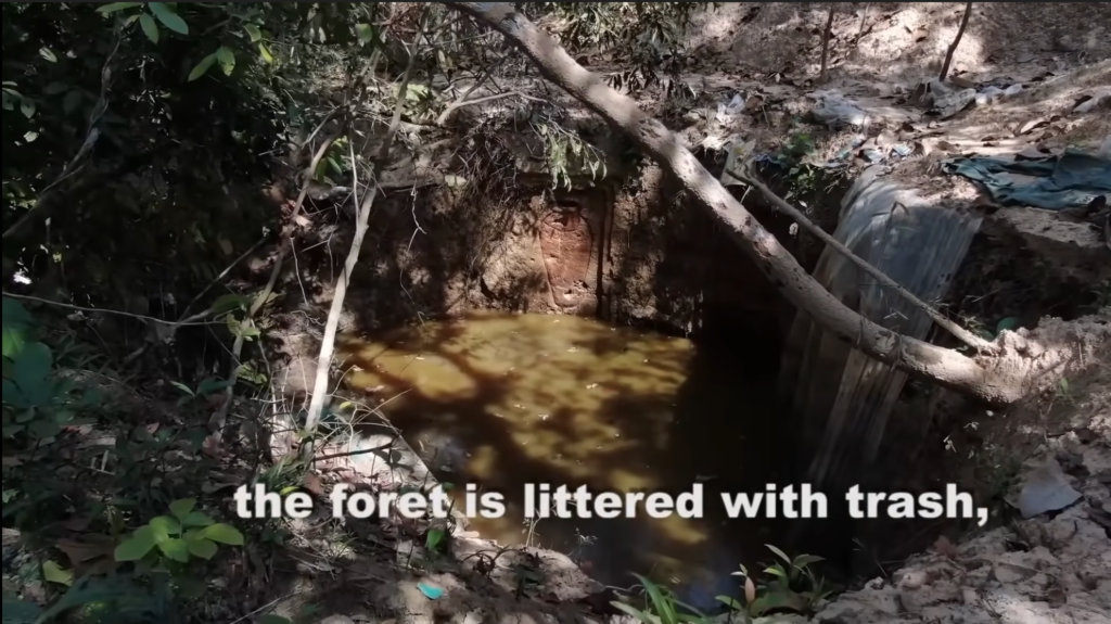 Gli effetti delle "presunte costruzioni" sull'ambiente