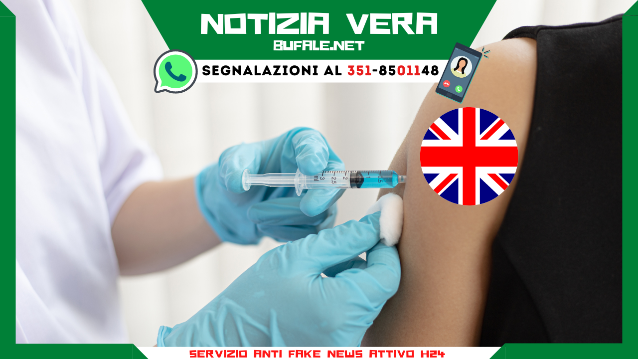 bufala sindaco di lonigo