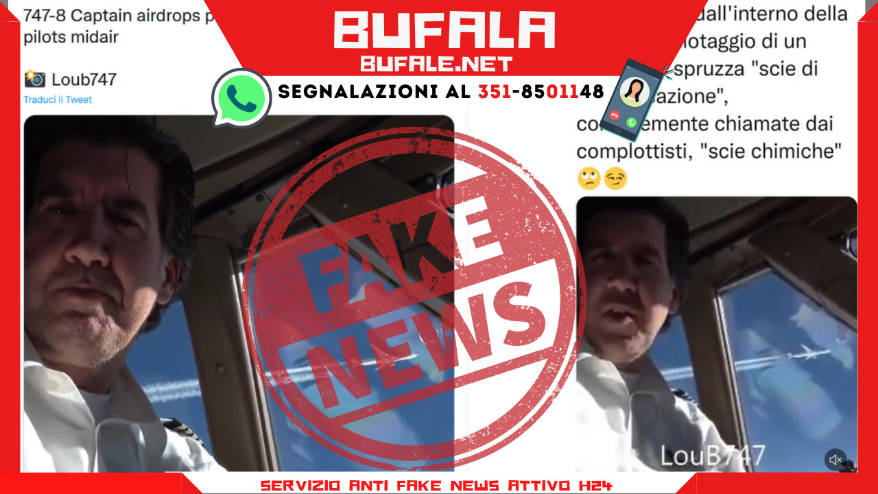 bufala sindaco di lonigo