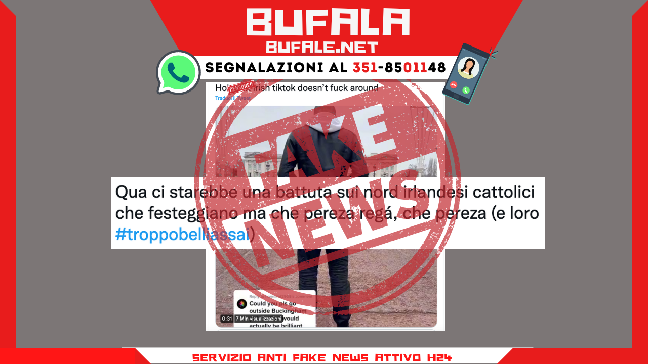 bufala sindaco di lonigo