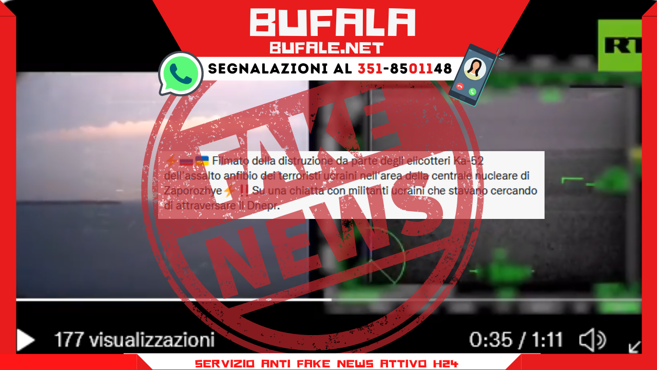 bufala sindaco di lonigo