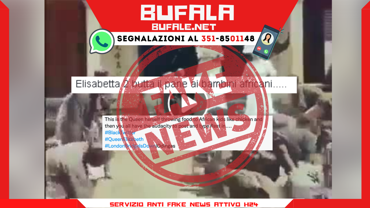 bufala sindaco di lonigo