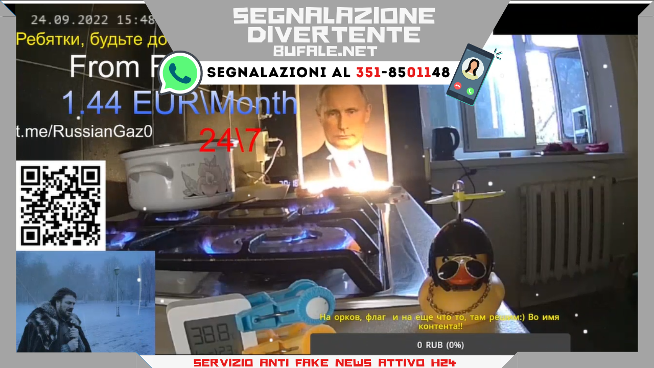 bufala sindaco di lonigo