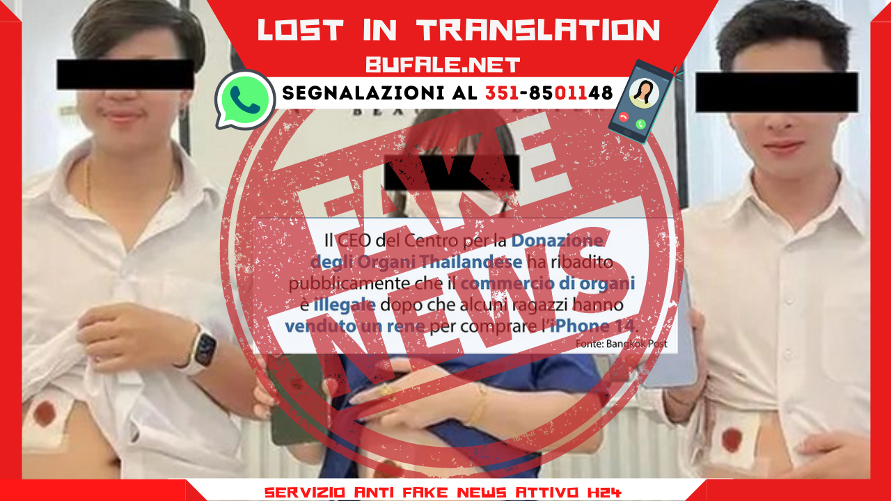 bufala sindaco di lonigo