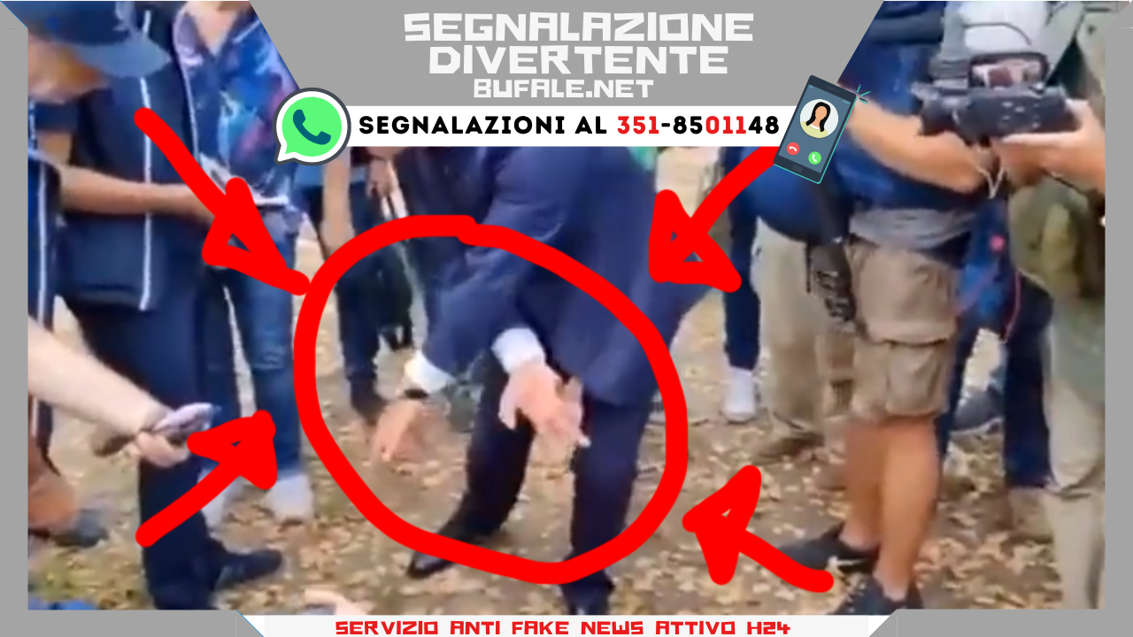 bufala sindaco di lonigo