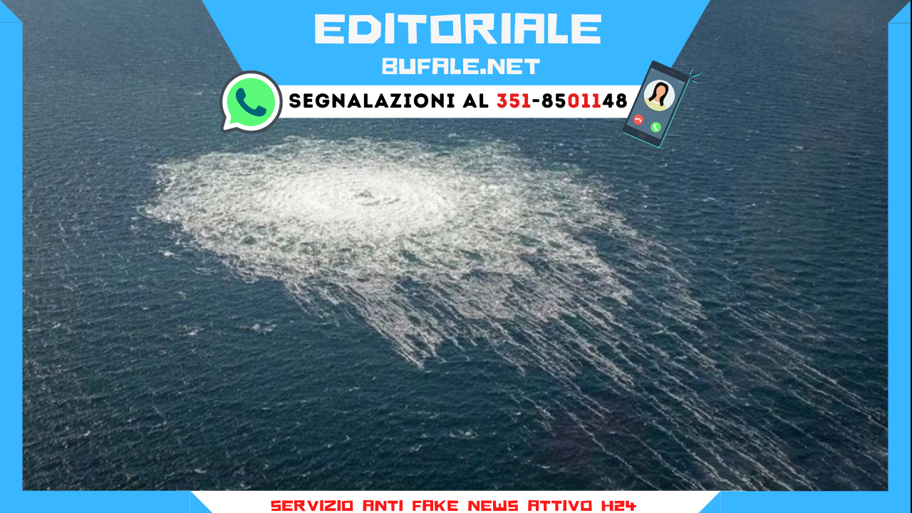 bufala sindaco di lonigo