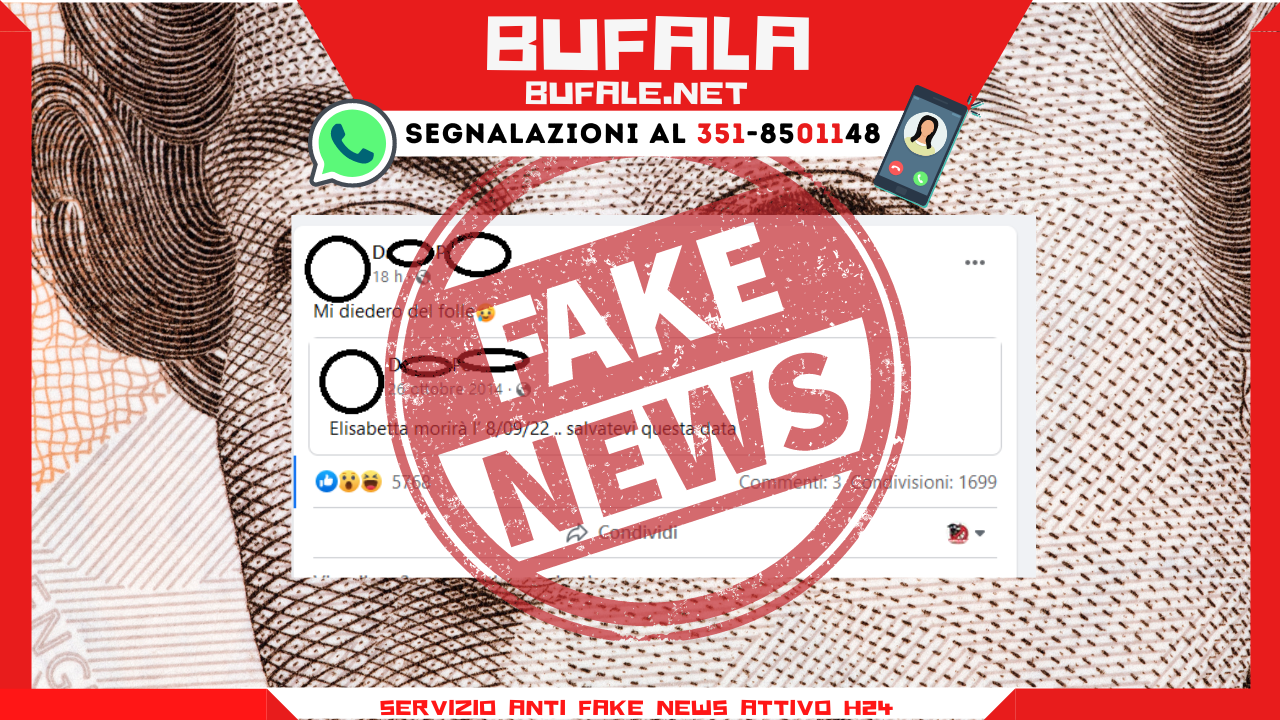 bufala sindaco di lonigo