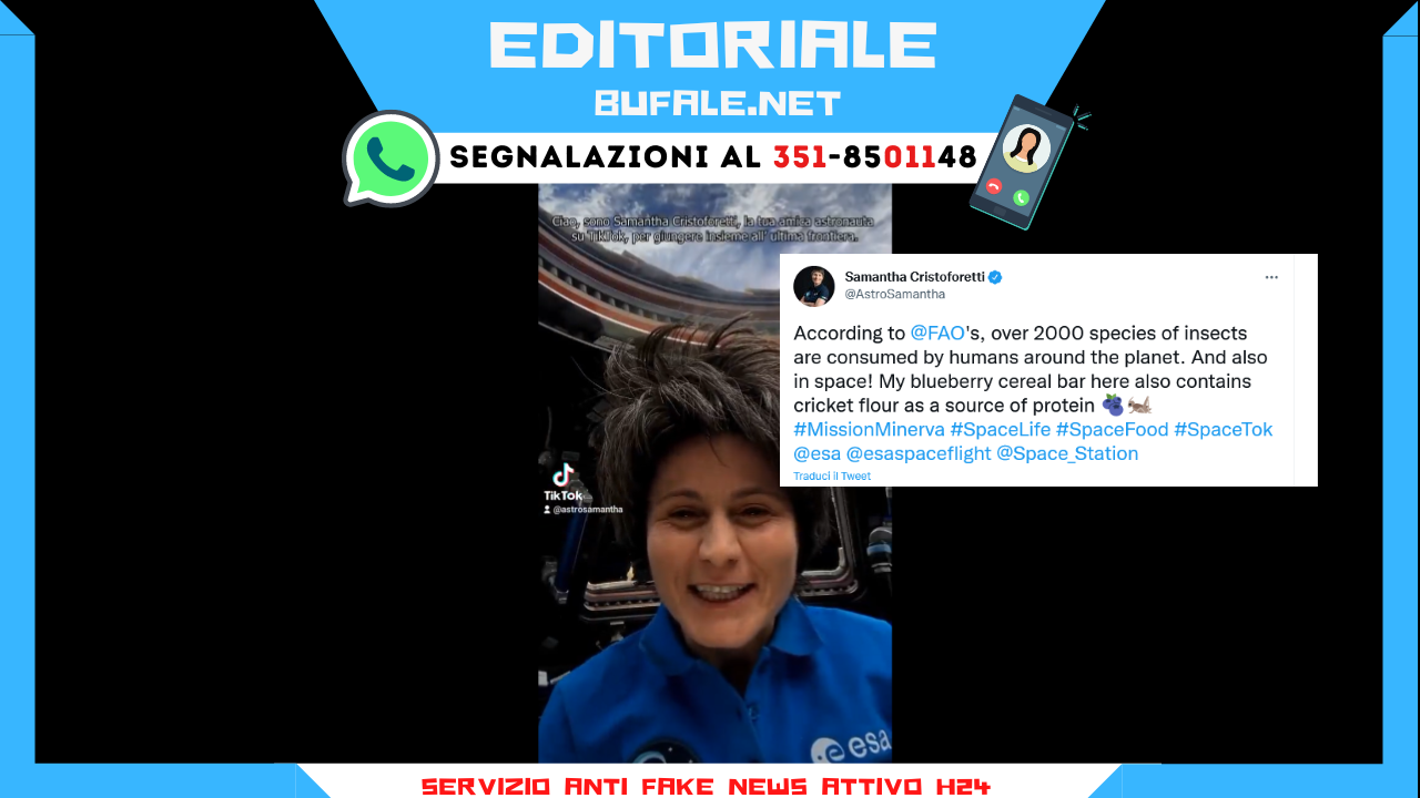 bufala sindaco di lonigo