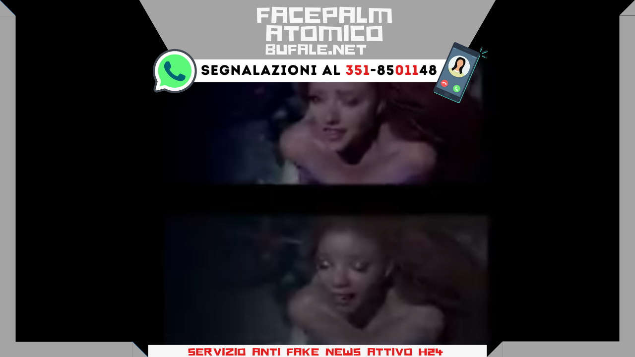 bufala sindaco di lonigo