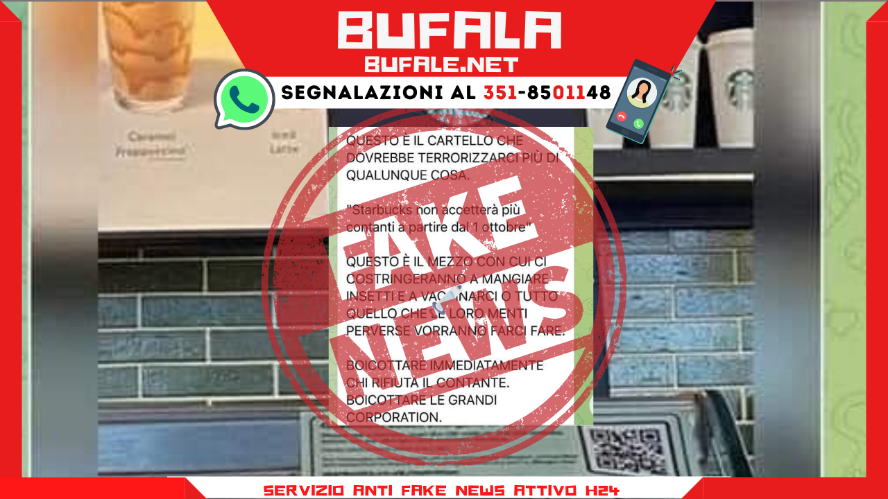 bufala sindaco di lonigo