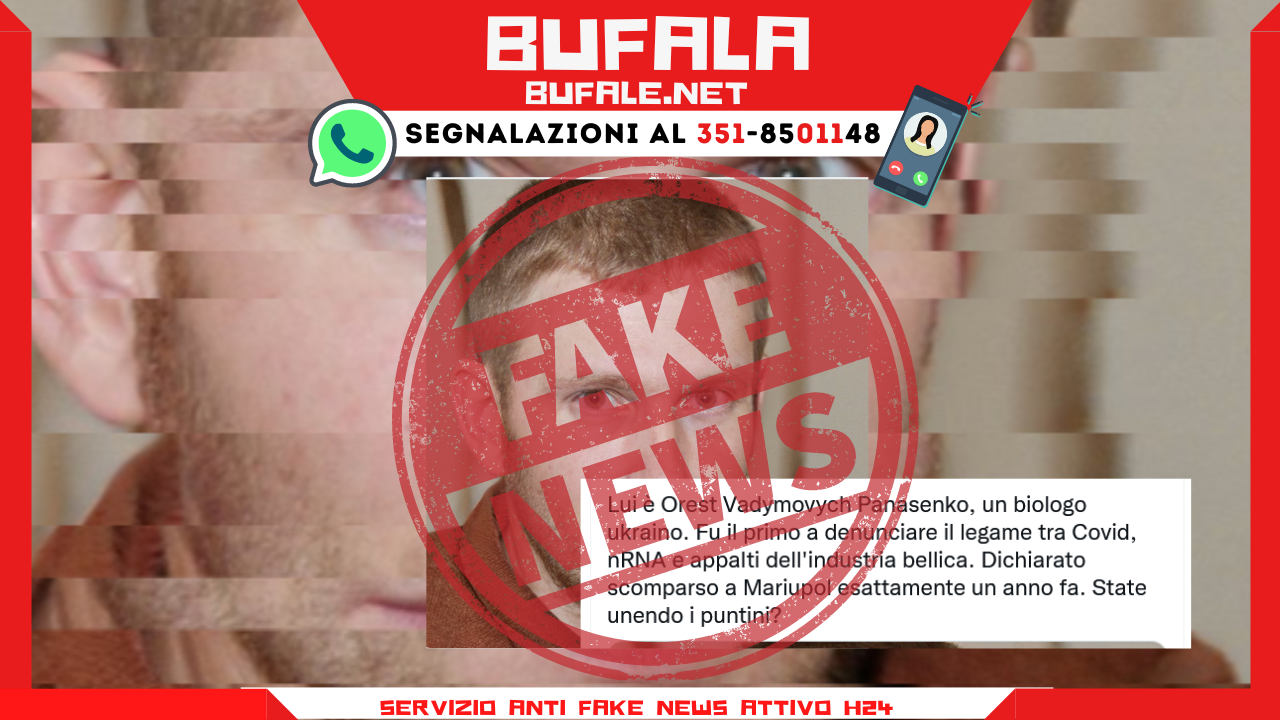 bufala sindaco di lonigo