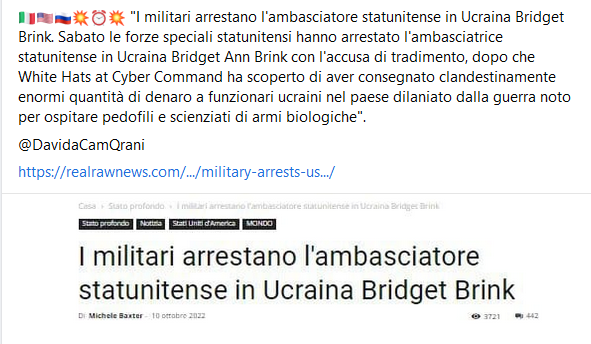 L'ambasciatrice statunitense in Ucraina arrestata: gabbati i complottisti
