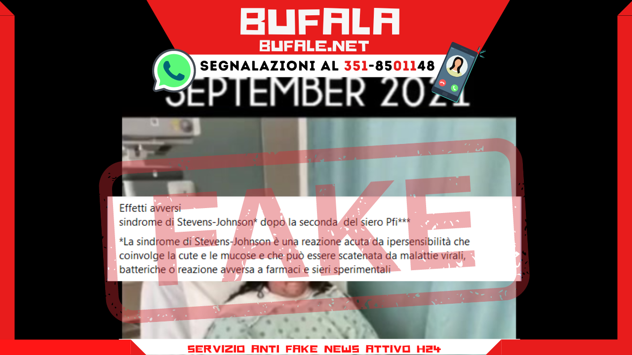 bufala sindaco di lonigo