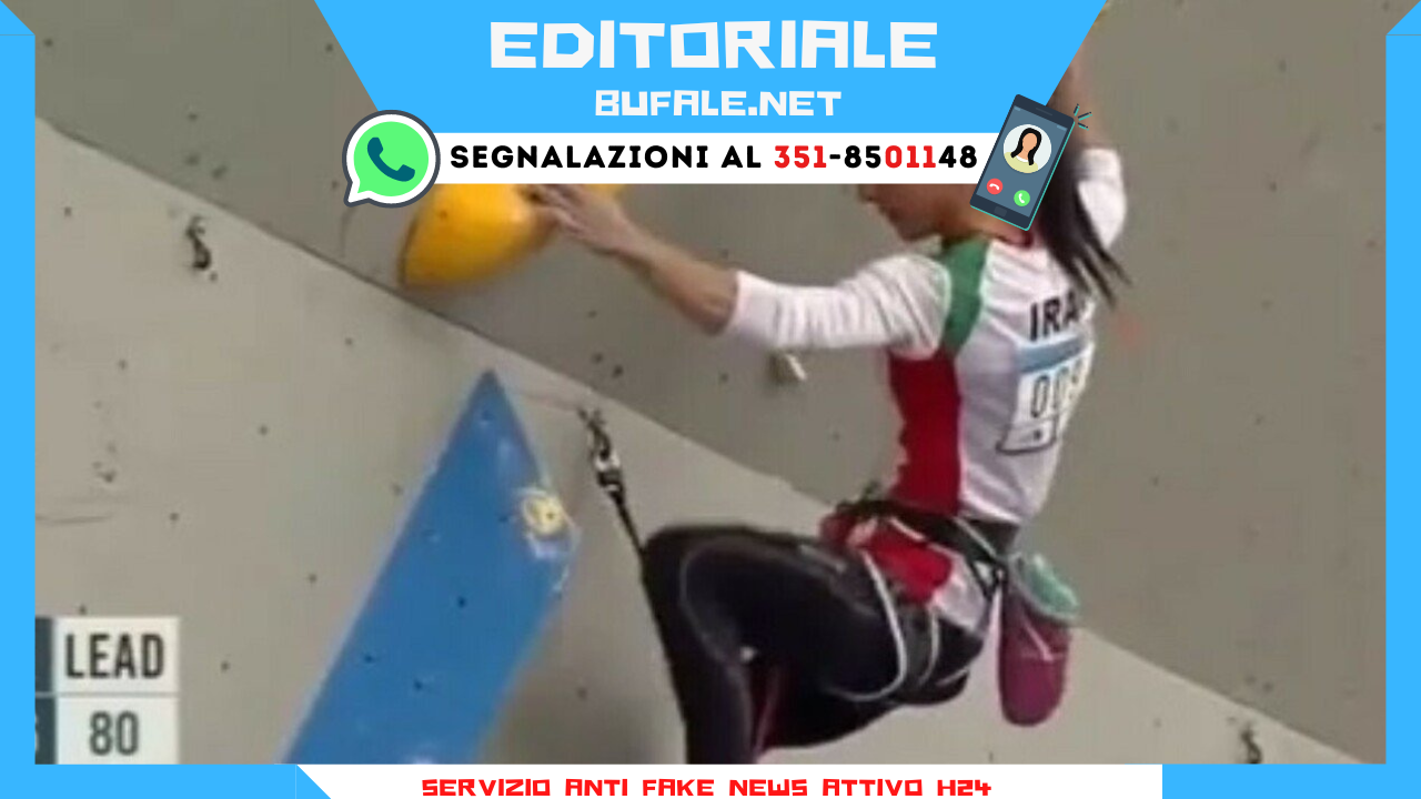 bufala sindaco di lonigo