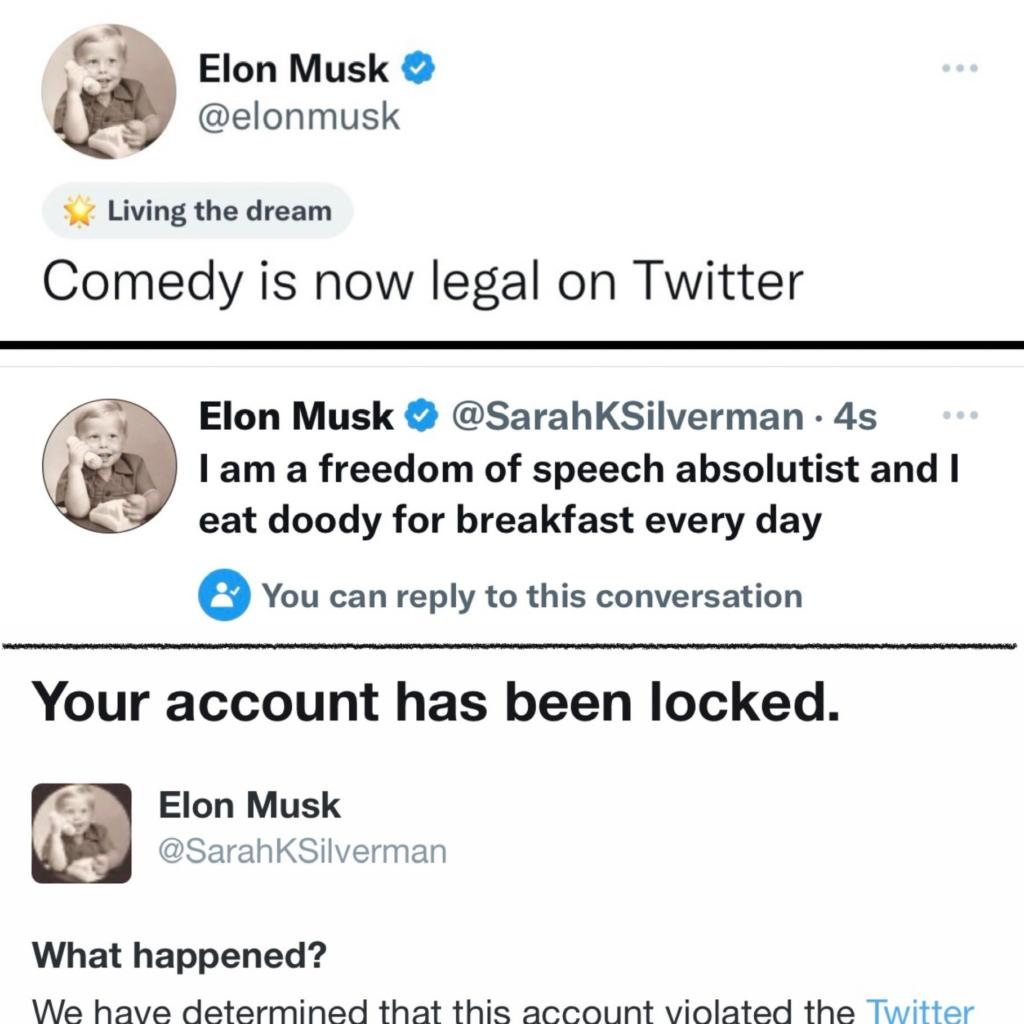 Essere Elon Musk su Twitter: la protesta virale e il dissenso online