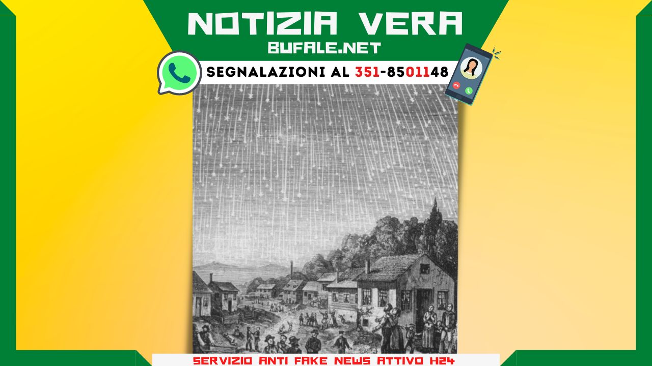 bufala sindaco di lonigo