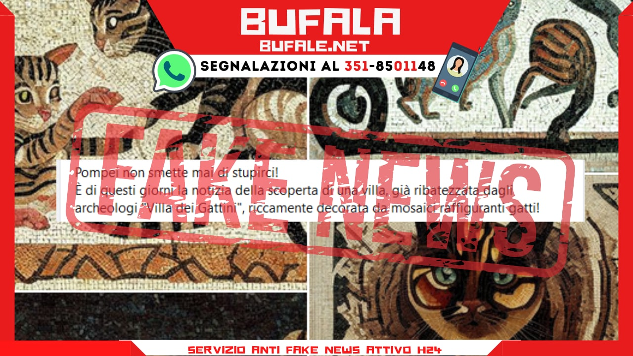 bufala sindaco di lonigo