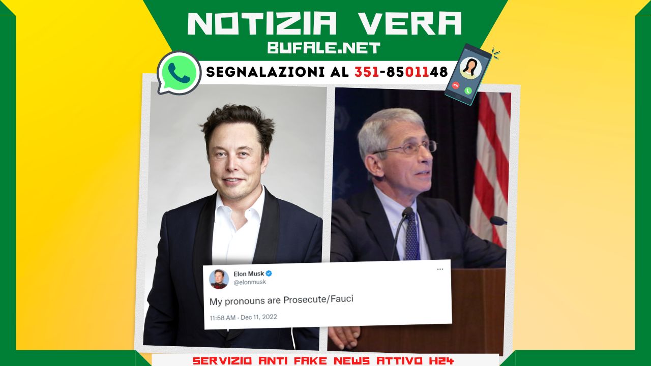 bufala sindaco di lonigo